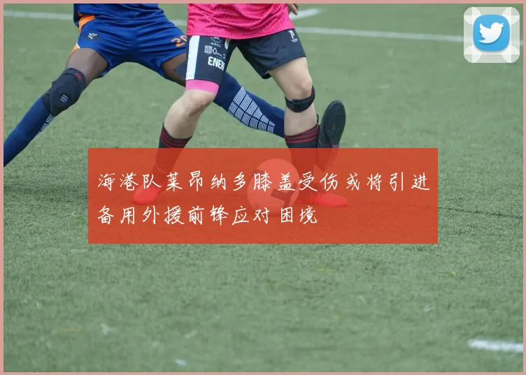 海港队莱昂纳多膝盖受伤或将引进备用外援前锋应对困境